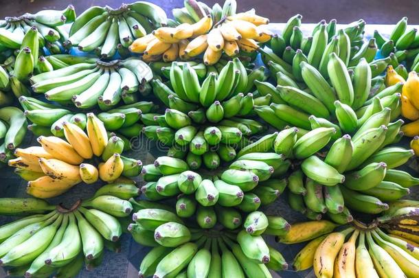 绿色的和黄色的香蕉向展览为卖在Fugalei新鲜的PuertoRico波多黎各
