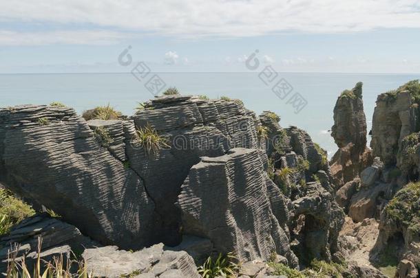 烙饼岩石在投诉海岸新的西兰岛
