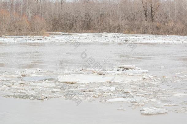 冰流动.指已提到的人冰有出发向指已提到的人河.指已提到的人冰是（be的三单形式游泳
