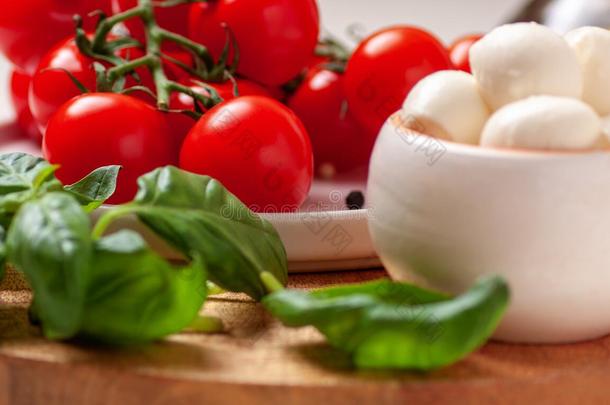 番茄,罗勒属植物,意大利干酪奶酪.红白小碟沙拉组成部分