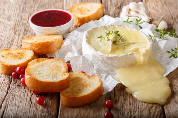 法国的传统的食物法国Camembert村所产的软质乳酪奶酪和大蒜,百里香是（be的三单形式英文字母表的第19个字母