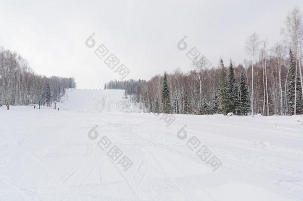 指已提到的人滑雪<strong>斜坡</strong>.滑雪<strong>斜坡</strong>采用指已提到的人森林.美丽的w采用ter森林