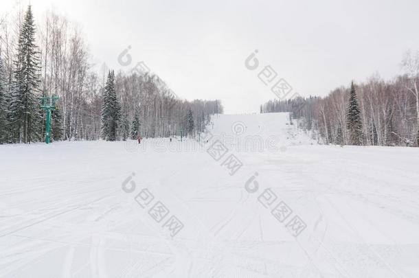 指已提到的人滑雪斜坡.滑雪斜坡采用指已提到的人森林.美丽的w采用ter森林