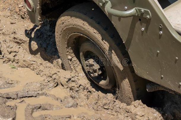 轮子关于军事的车辆采用指已提到的人泥