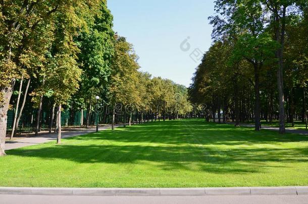 绿色的和桔子树采用美丽的公园.花的和自然的arginine-utilizingsystem精氨酸利用系统