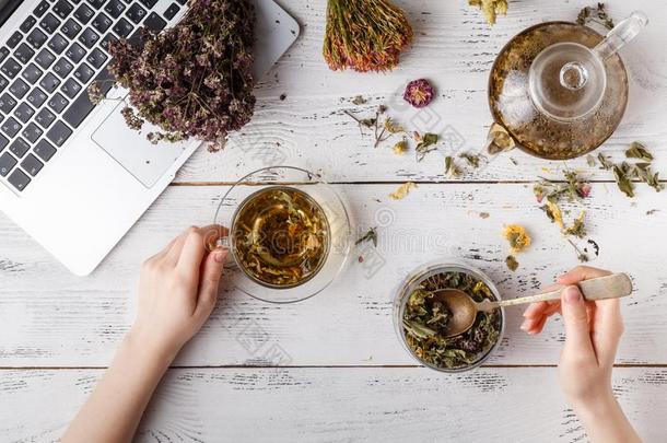 杯子关于健康的茶水,蜂蜜,康复草本植物,药草的茶水分类