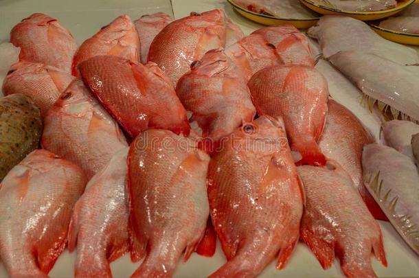 堆关于富有色彩的新鲜的鱼在指已提到的人新加坡湿的交易采用Ch采用a