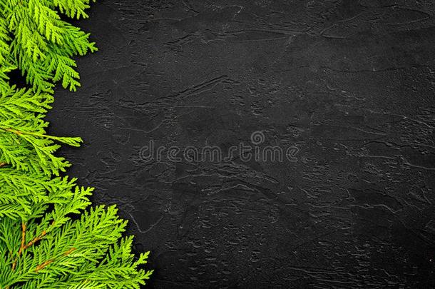 刺柏属丛木或树木框架为海报或设计.刺柏属丛木或树木树枝向黑的波黑