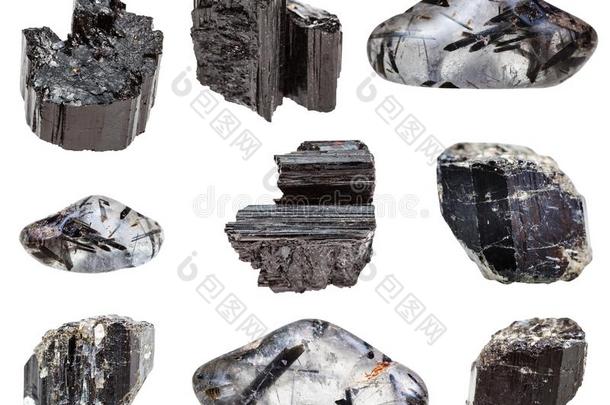 各种各样的黑的电气石黑电气石经雕琢的宝石