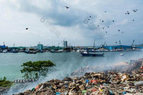 垃圾倾倒在近处海港看法满的关于烟,杂物,塑料制品肤蝇的幼虫