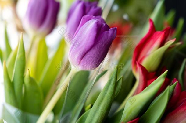 花束关于郁金香红色的和丁香花属花向一b一ckground关于流动