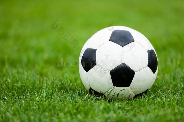 典型的足球足球球向足球场地.绿色的草足球