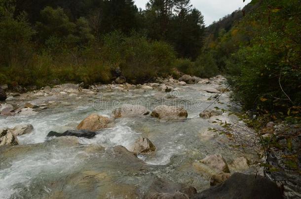 风景优美的流动的河采用指已提到的人乡村关于白云石