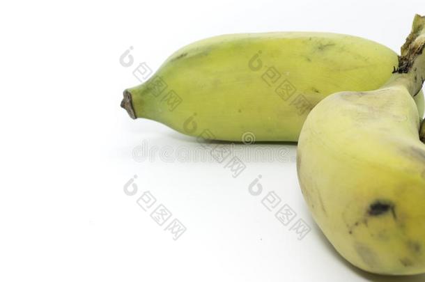 耕种的香蕉向白色的背景,不结盟运动香蕉