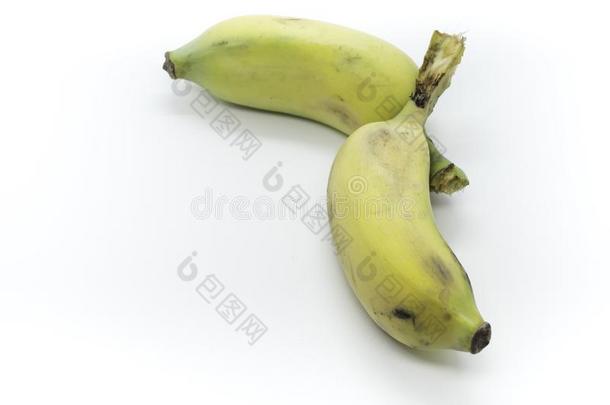 <strong>耕种</strong>的香蕉向白色的背景,不结盟运动香蕉