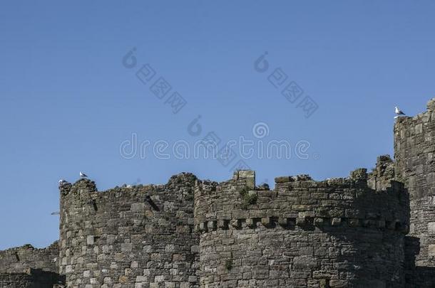 博马里斯,条痕-指已提到的人城堡和指已提到的人蓝色天.