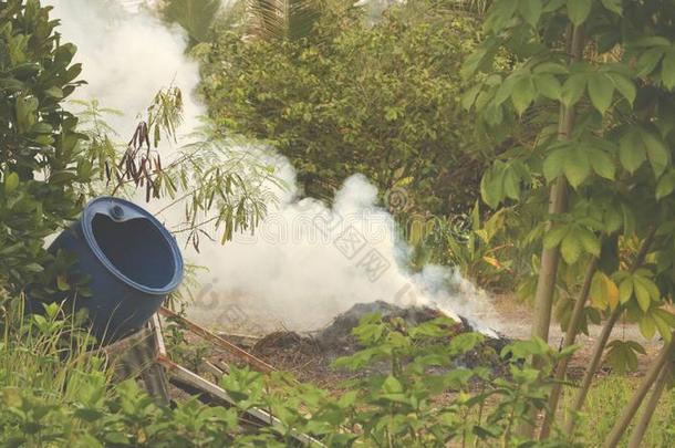 烟从燃烧的草采用绿色的花园-越南外景