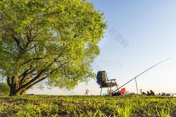 捕<strong>鱼杆</strong>和捕鱼椅子在下面大大地绿色的树向太美了