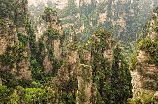 垂直的岩石形成关于张家界国家的森林公园,Hungary匈牙利