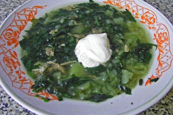 俄国的乡村的烹饪:荨麻绿色的汤采用一乡村的碗,苏