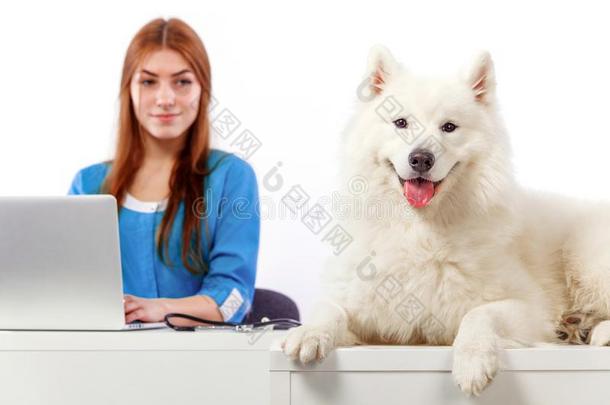 兽医和计算机和狗,向表采用审查cl采用ic,内心