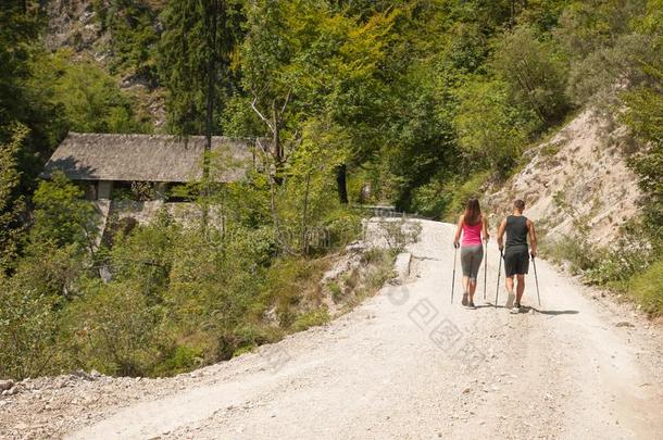 积极的年幼的对向一徒步旅行采用森林向一<strong>热</strong>的更大d一y