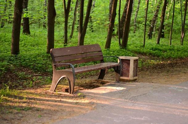 简单的仍-生活照片关于公园长凳和杂物-盒