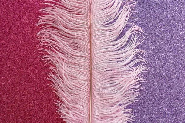 粉红色的像小束状的鸵鸟羽毛平的向粉红色的紫色的闪耀的后座