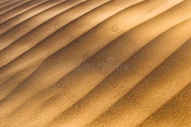 特写镜头关于沙丘质地采用指已提到的人沙漠.红色的沙丘,纳米比亚.香皂