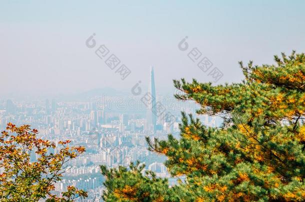 扁鲨世界塔和首尔城市看法从南汉桑松佛特