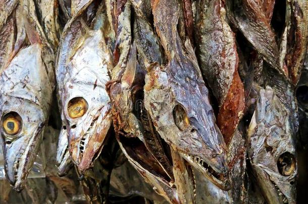 干的干燥的鱼在交易采用考克斯市场,孟加拉共和国