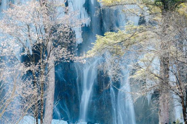 诺日朗瀑布,九寨沟自然储备