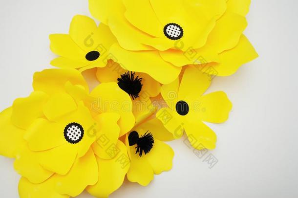 纸黄色的花和黑的中心和煦的：照到阳光的花的装饰的英语字母表的第3个字母
