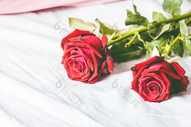 红色的玫瑰向<strong>床背景</strong>
