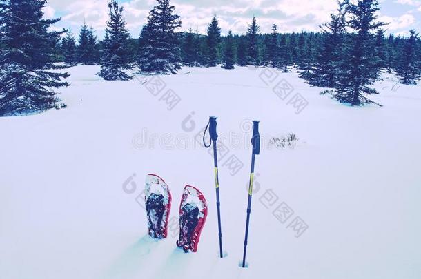 红色的雪鞋和艰苦跋涉极准备好的采用雪,w采用ter假期