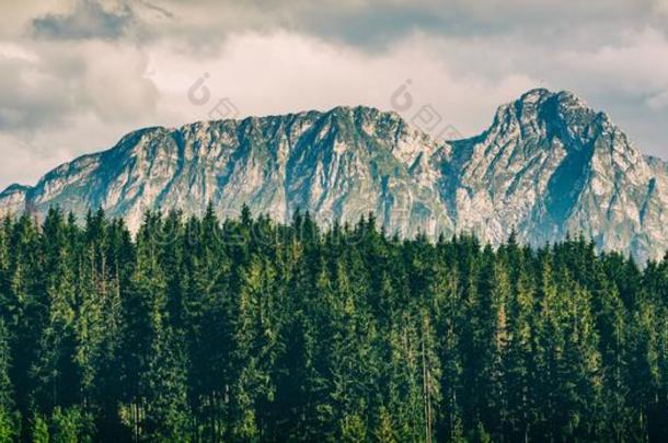 吉蒙特山,鼓舞人心的山s风景采用夏纹身