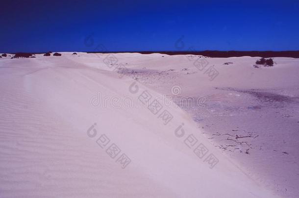 澳大利亚:沙漠-植物和s和dunes向弗雷泽语源不详Isl和