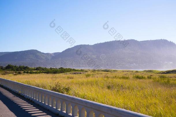 和平的洋西北俄勒冈州海岸景观美化和草