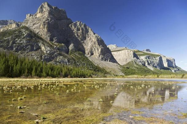 秒鬼湖风景艾伯塔春季班夫国家的爸