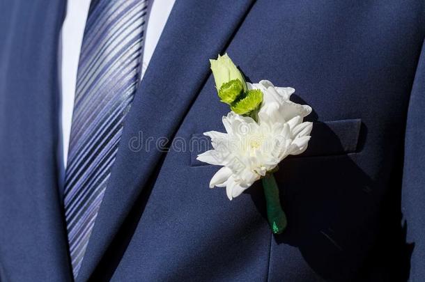 蓝色一套外衣和使整洁插于钮孔上之花关于白色的菊花