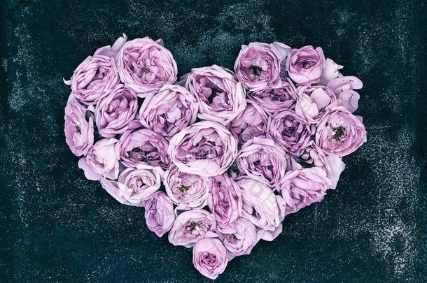 心从芽和花瓣关于粉红色的玫瑰-象征关于爱.