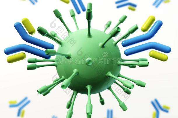 抗体,免疫球蛋白类,指已提到的人免疫的