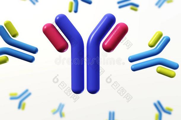 抗体,免疫球蛋白类,指已提到的人免疫的