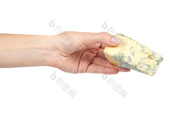 块关于像牛奶的蓝色奶酪和手,隔离的向白色的后台