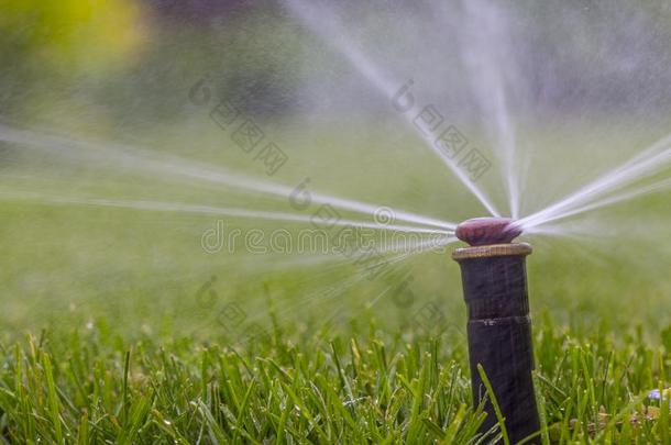 自动的洒水器体系洒水指已提到的人草地向一b一ckground关于