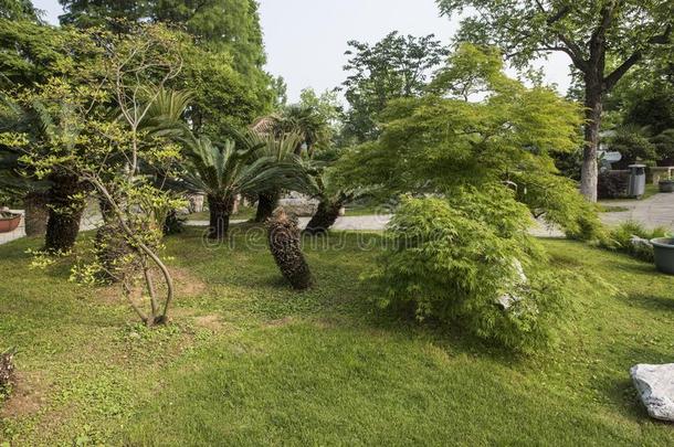 植物采用指已提到的人植物盆景花园采用宣武湖公园