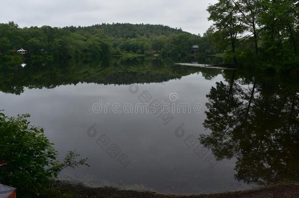 美丽的照片关于霍顿的池塘采用指已提到的人蓝色小山