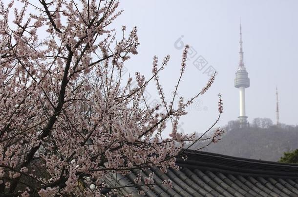 南桑醇哈诺克村民采用首尔南方朝鲜.