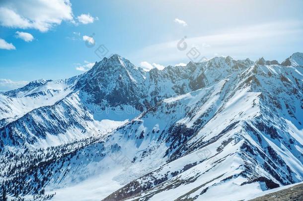 风景关于雪-脱帽致意山峰关于指已提到的人多岩石的山采用和煦的：照到阳光的wickets三柱门