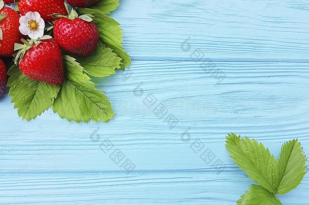 新鲜的有机的<strong>草莓叶子</strong>农事夏收割向一蓝色wickets三柱门